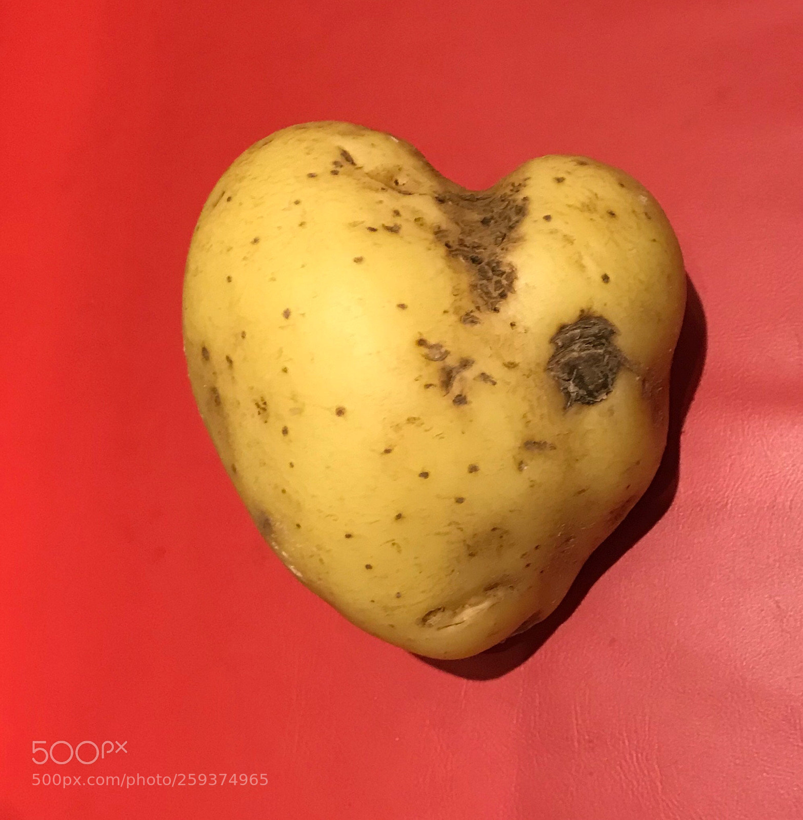 Apple iPhone 7 sample photo. Untitled photography