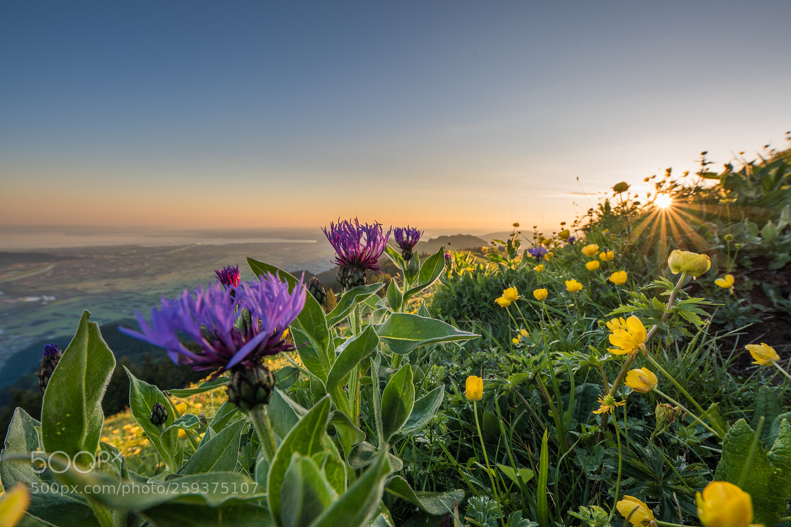 Nikon D750 sample photo. Sunset photography