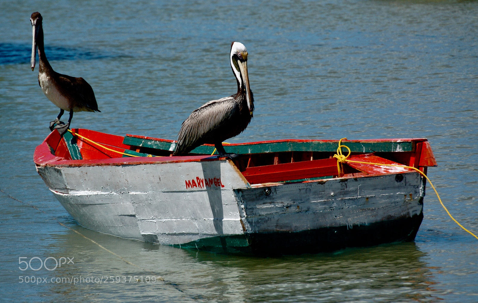 Nikon D50 sample photo. Bay watch photography