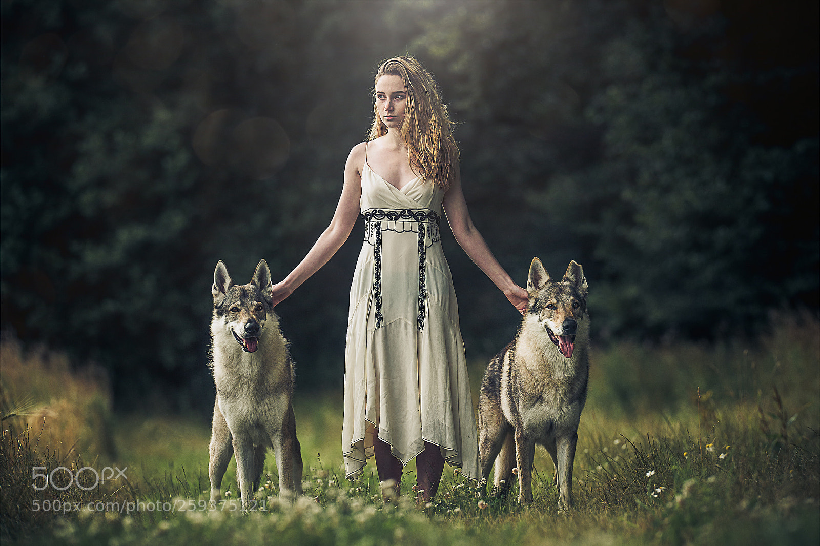 Nikon D3S sample photo. Wulfgirl photography