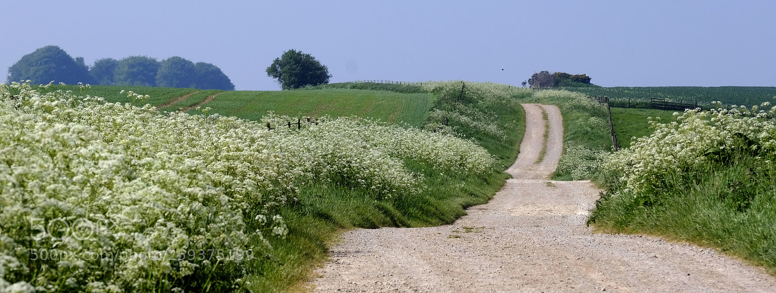 Fujifilm X-H1 sample photo. Enjoying life`s walks photography