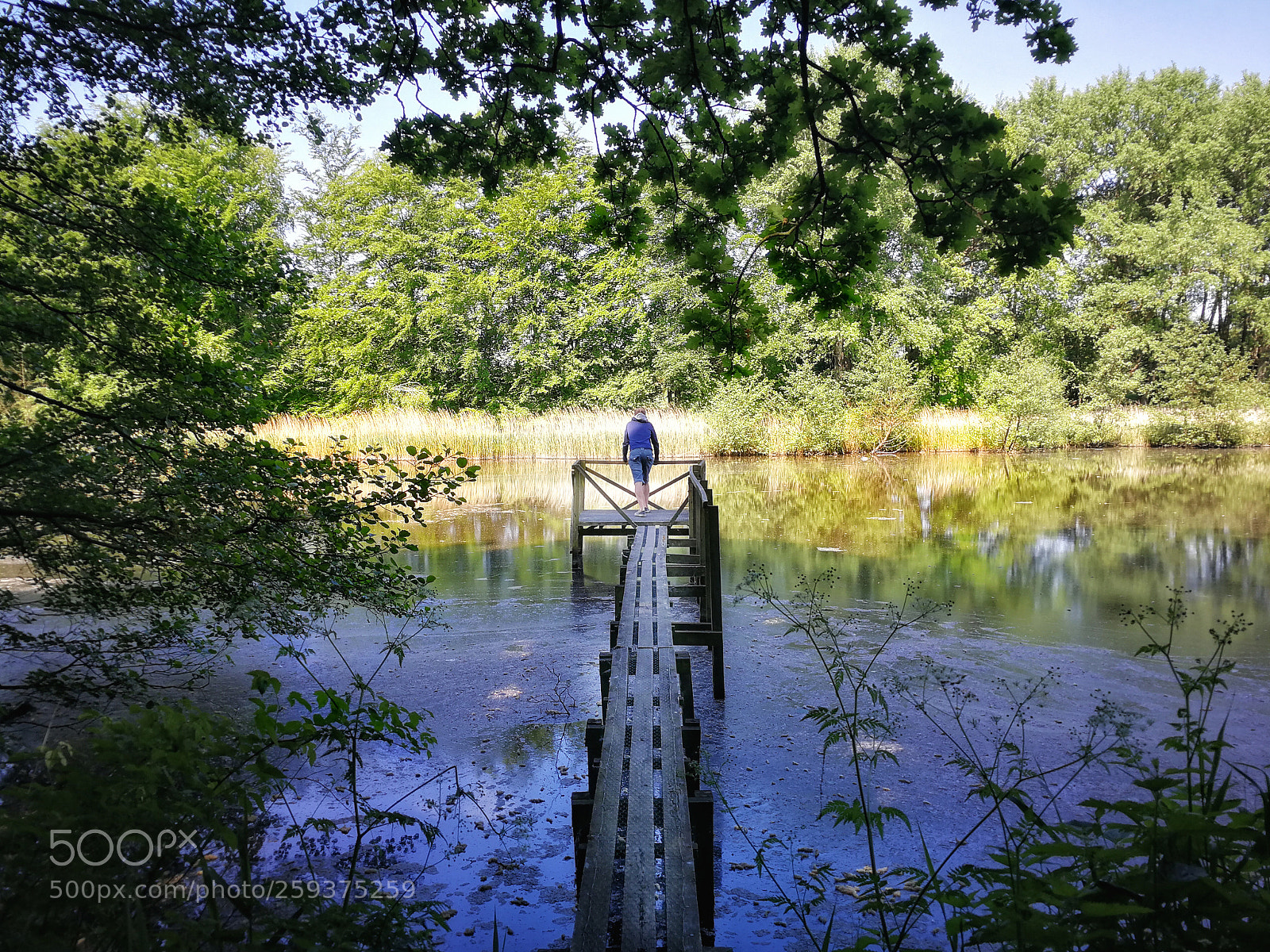 HUAWEI P10 sample photo. Untitled photography