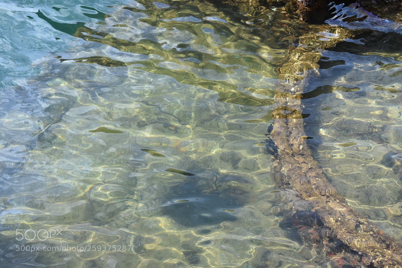 Nikon D7200 sample photo. Pearl harbour  photography