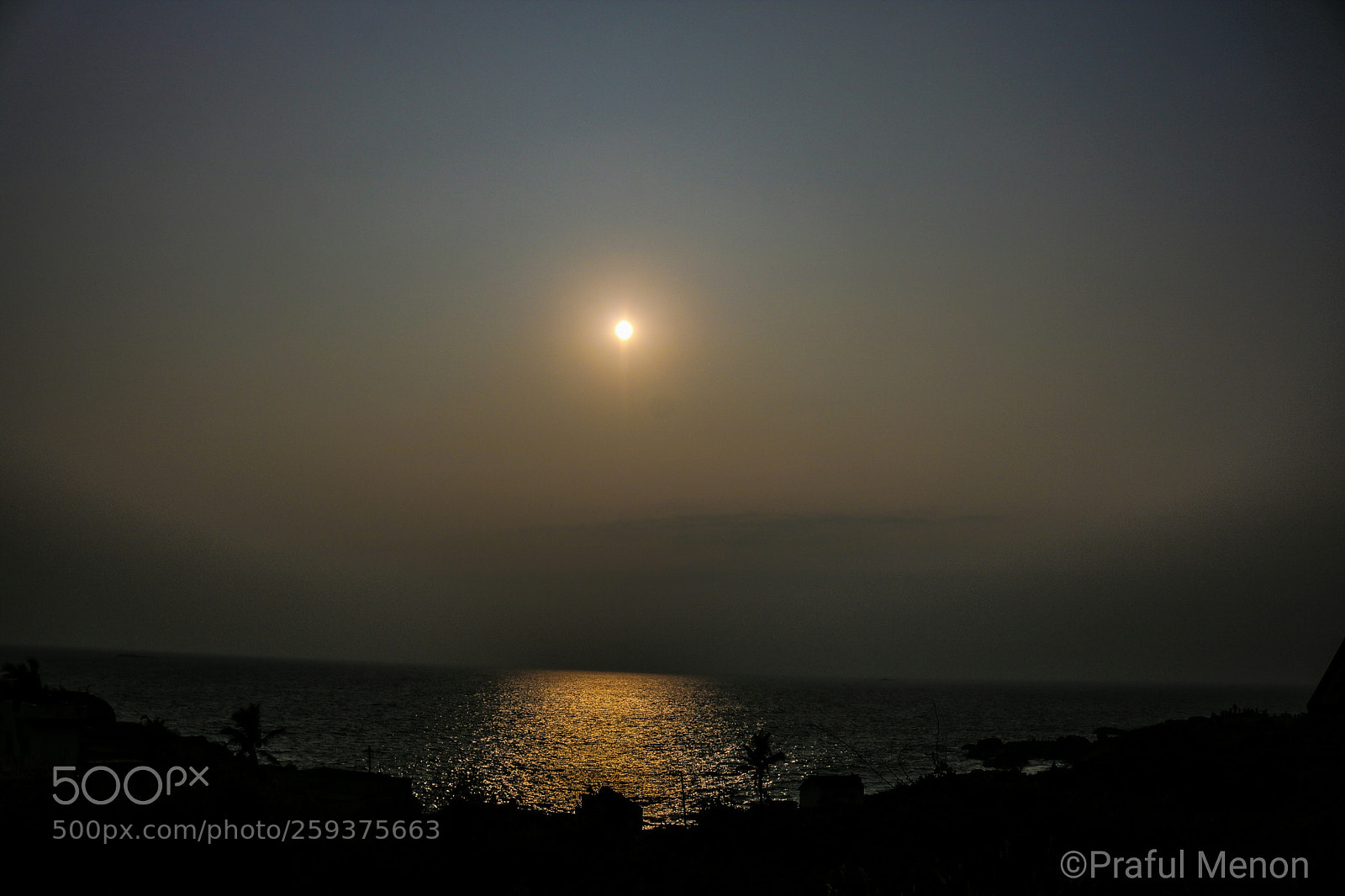 Canon EOS 750D (EOS Rebel T6i / EOS Kiss X8i) sample photo. Shimmers of gold photography