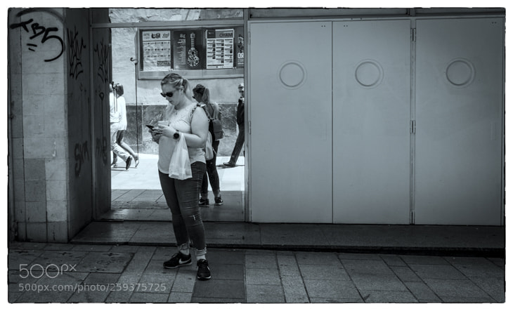 Olympus OM-D E-M1 Mark II sample photo. . photography