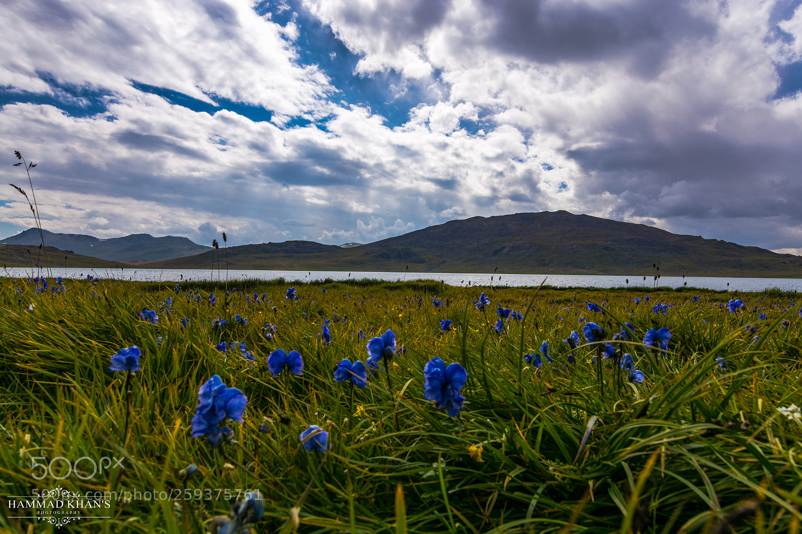 Nikon D7100 sample photo. Land of giants photography