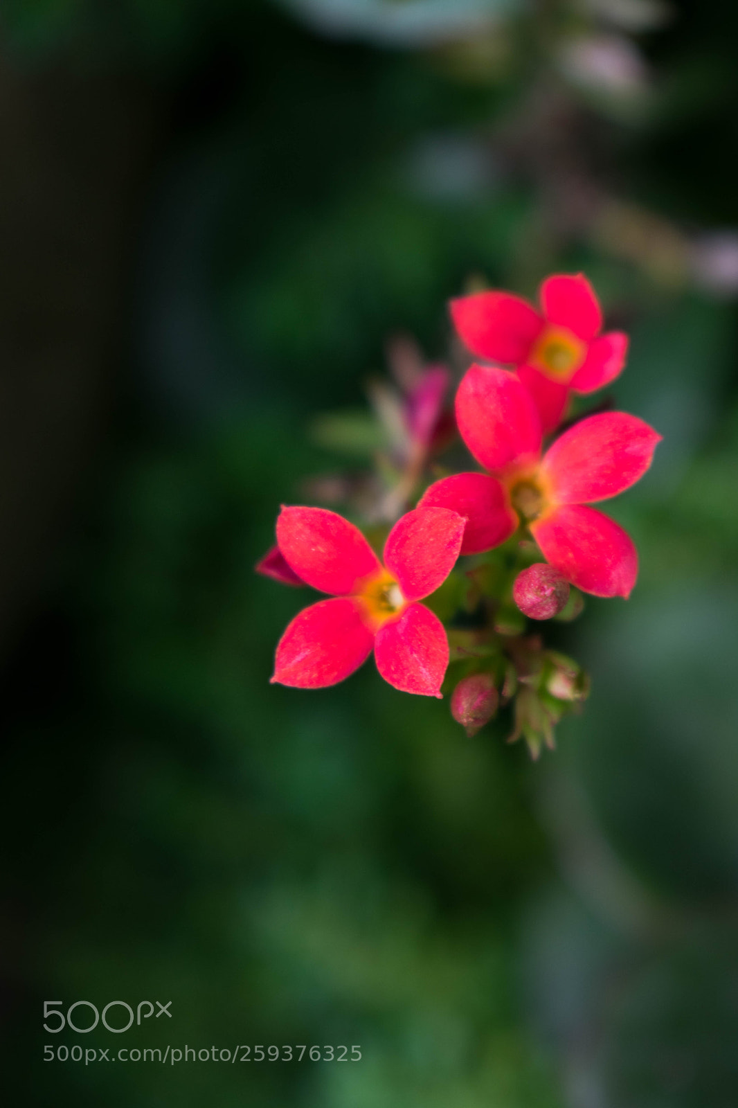Nikon D3400 sample photo. Baby steps... photography