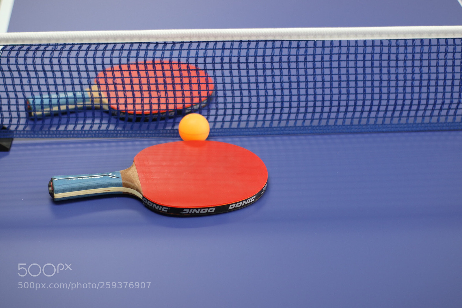 Canon EOS 800D (EOS Rebel T7i / EOS Kiss X9i) sample photo. Ping pong time  photography
