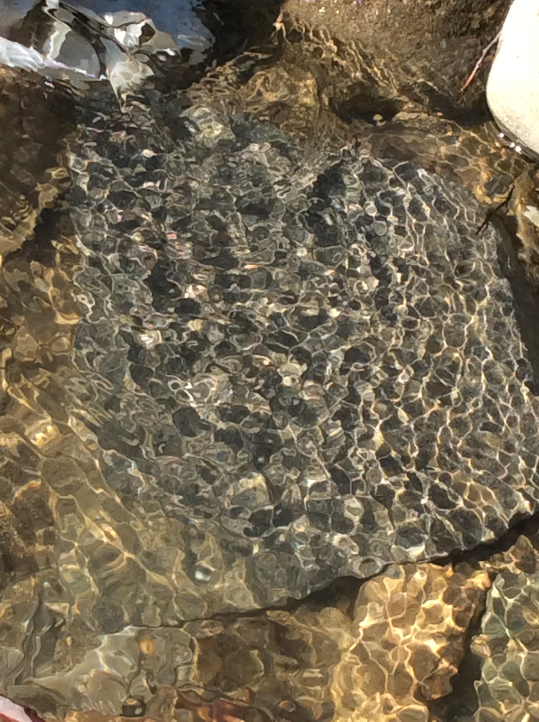 Apple iPad mini 2 sample photo. Stone, water, and light! photography