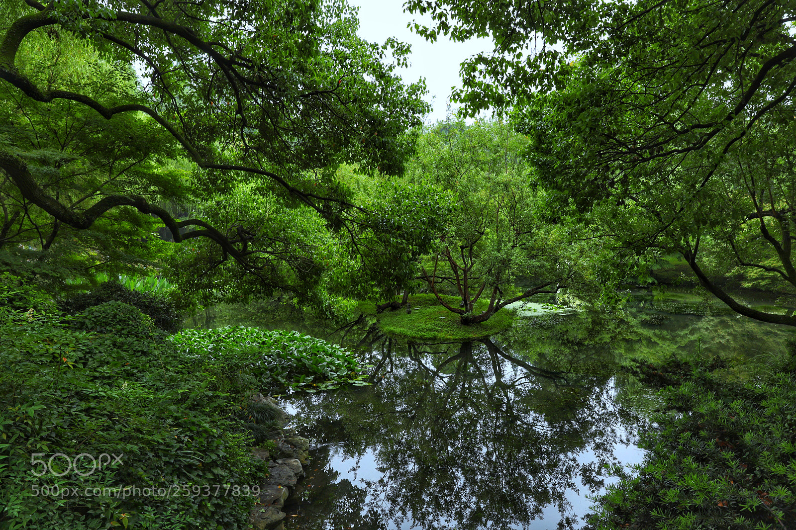 Canon EOS 5D Mark IV sample photo. 柳浪闻莺公园 photography