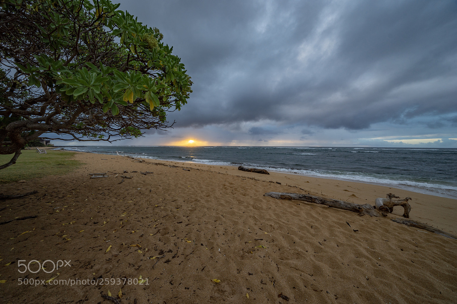 Sony a7 II sample photo. Sunrise on kaua i photography