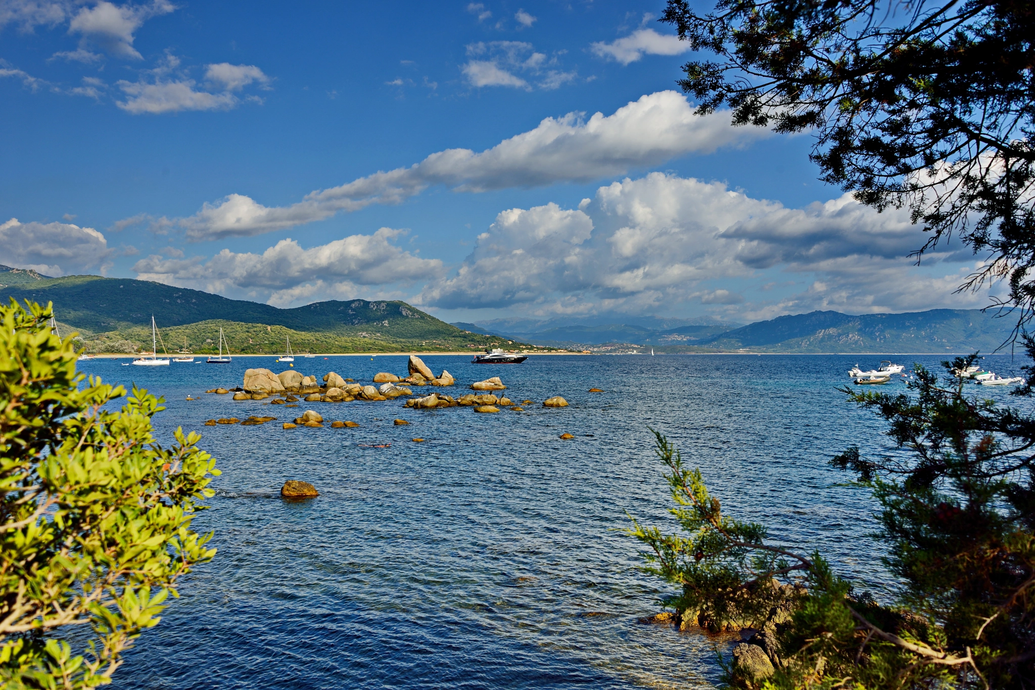 Nikon D800 sample photo. Seascape of corsica at golden hours photography