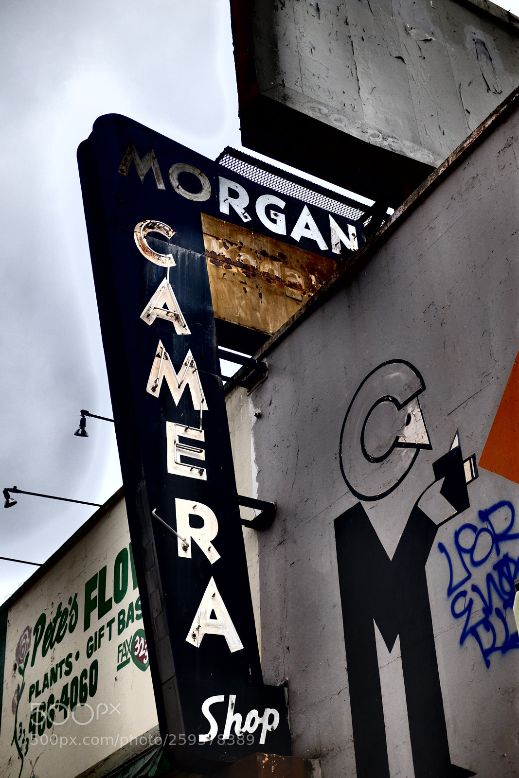 Fujifilm X100T sample photo. Morgan camerashop - hollywood photography