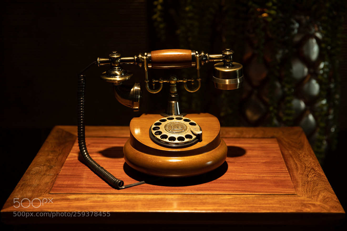 Canon EOS 5D Mark IV sample photo. Still life photography