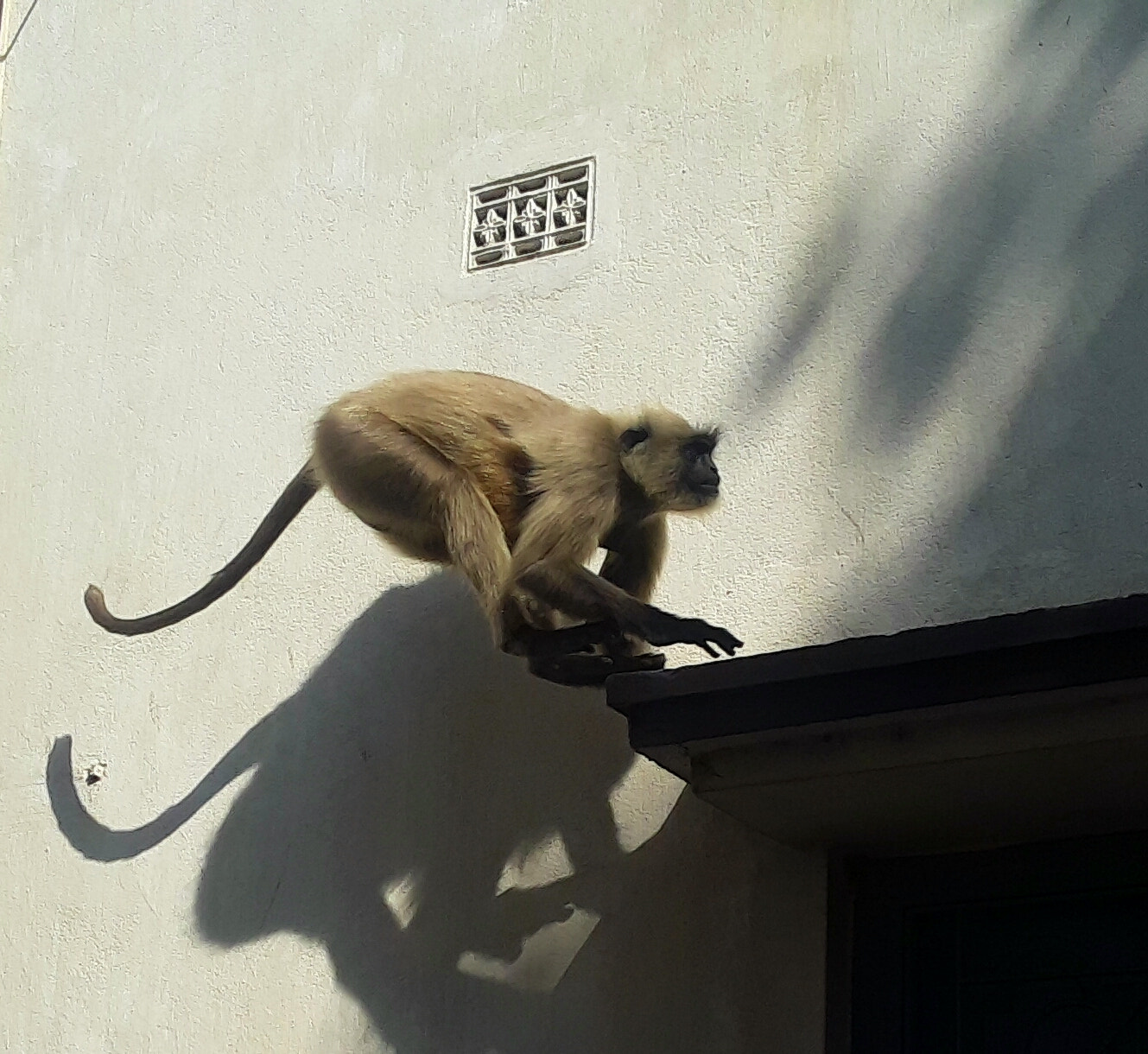 Samsung Galaxy On5 sample photo. Jump photography