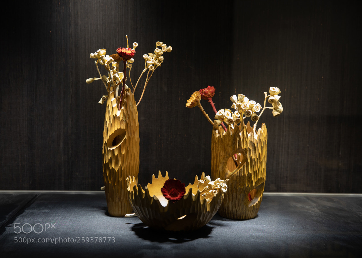 Canon EOS 5D Mark IV sample photo. Still life photography