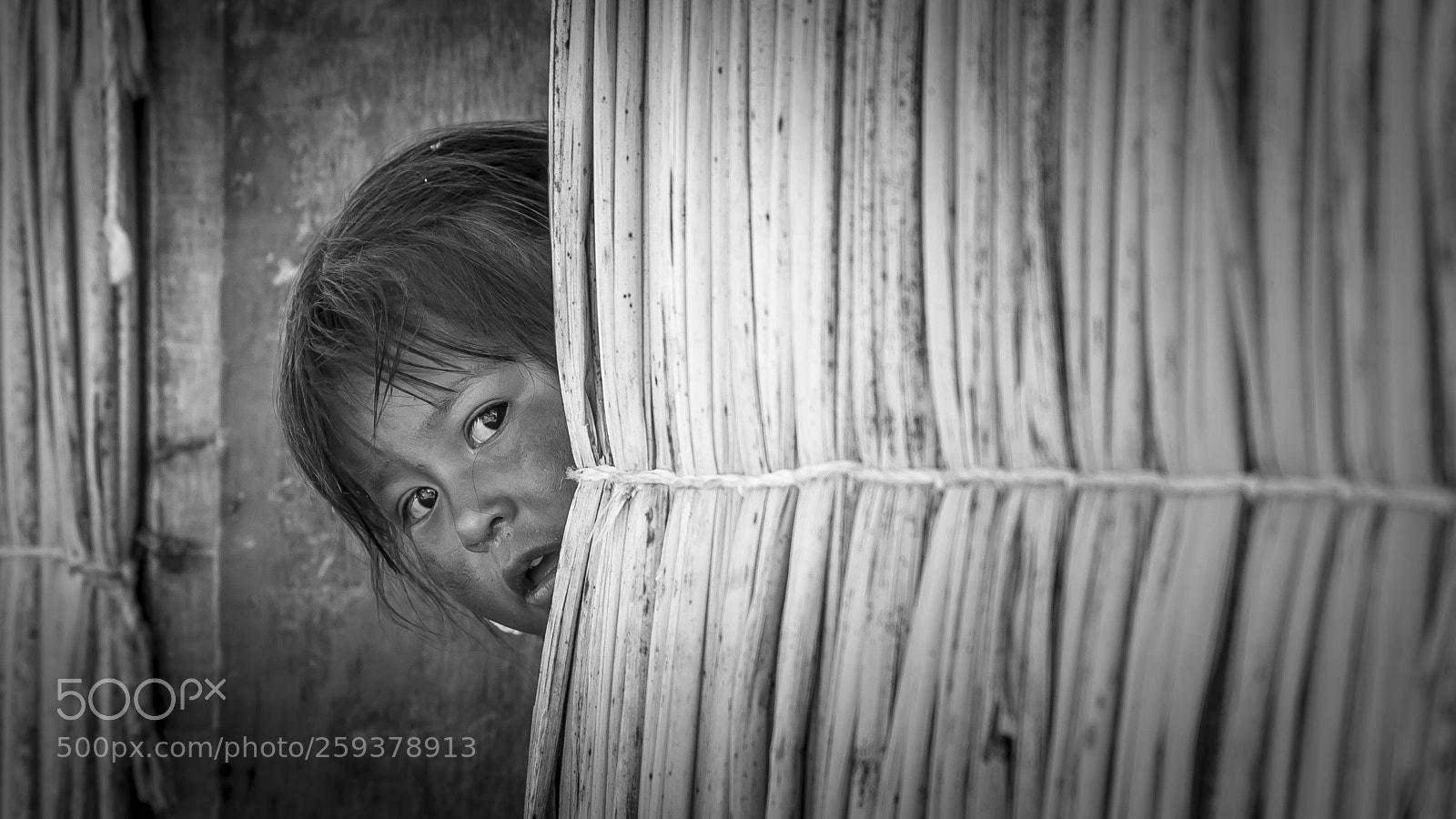 Nikon D610 sample photo. Shyness photography
