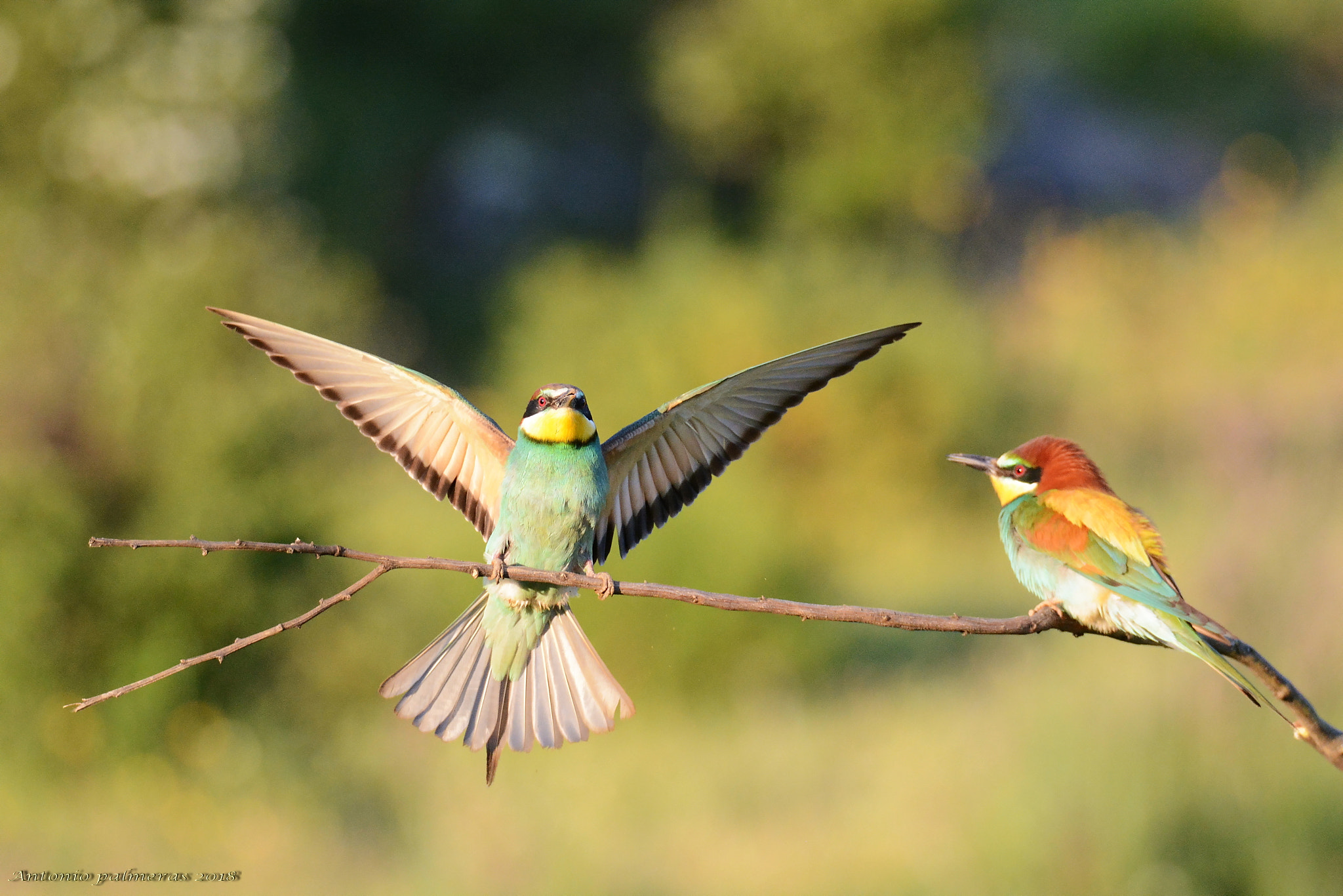 Nikon D7100 + Sigma 150-600mm F5-6.3 DG OS HSM | S sample photo. Aterrizajes 1 photography