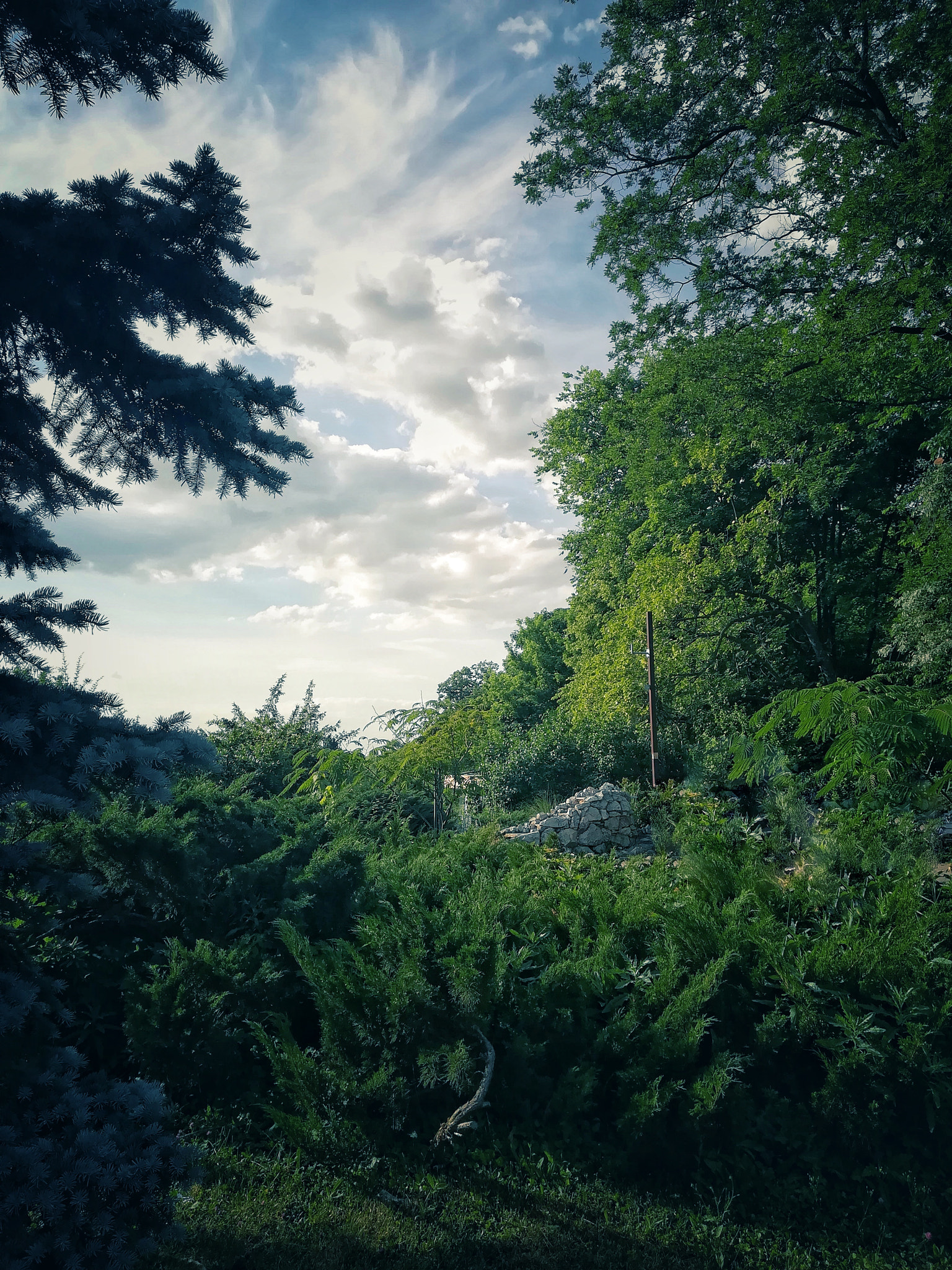 HUAWEI PRA-LX1 sample photo. Serenity photography