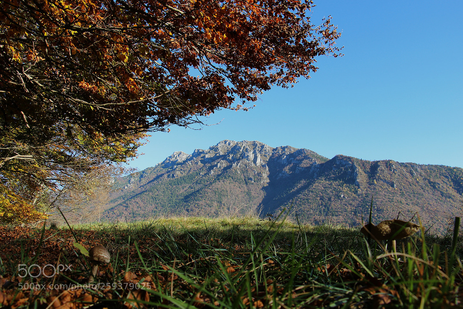 Canon EOS 100D (EOS Rebel SL1 / EOS Kiss X7) sample photo. Autumn photography