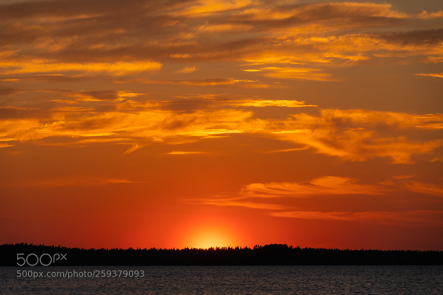 Sony a7R II sample photo. Sunlight photography