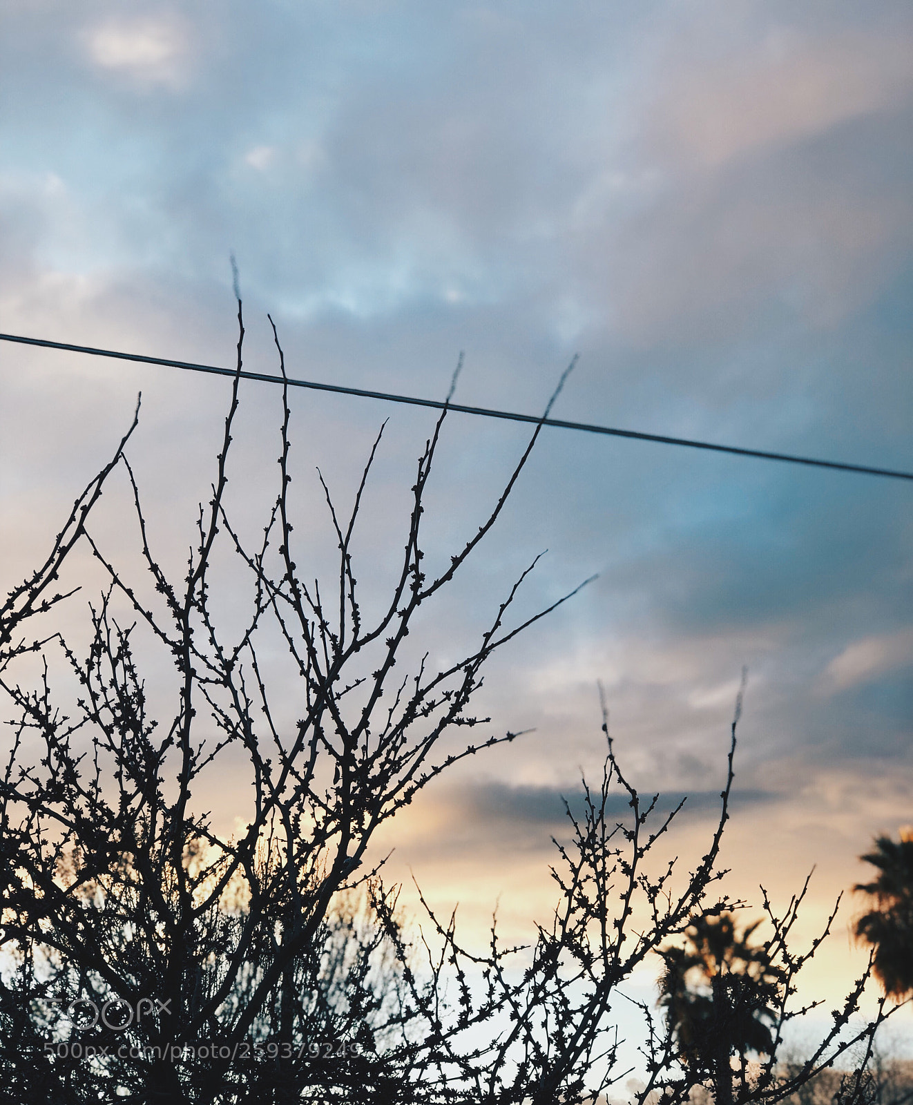 Apple iPhone 8 Plus sample photo. Soft sunset photography