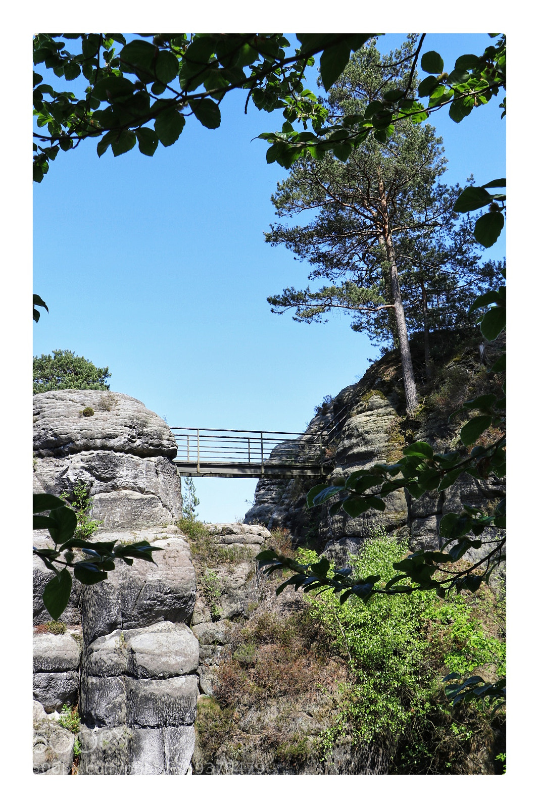 Canon EOS 80D sample photo. Bastei photography