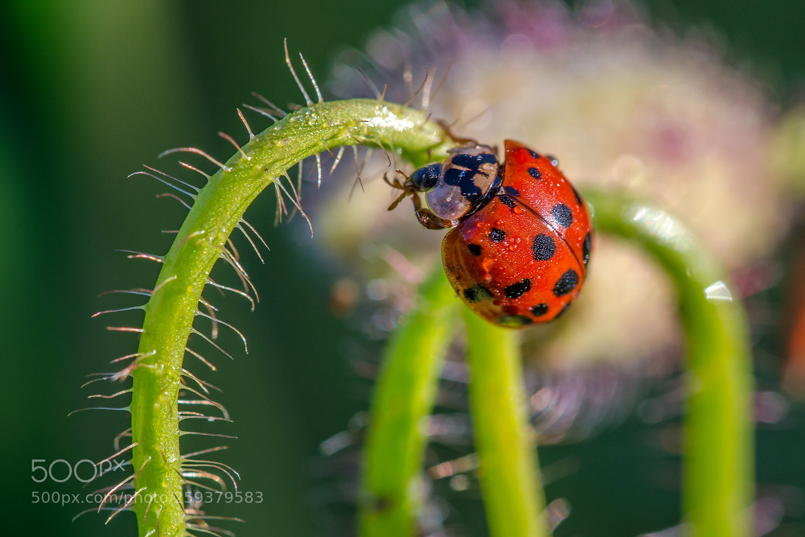 Nikon D800 sample photo. Beauty of nature photography