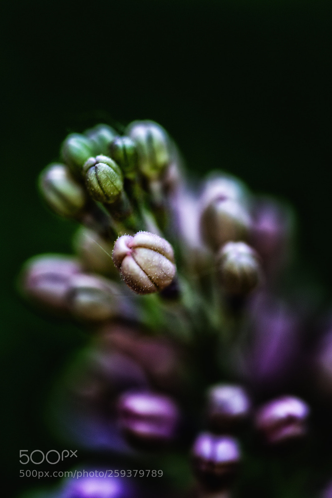 Canon EOS 6D sample photo. Out of darkness photography