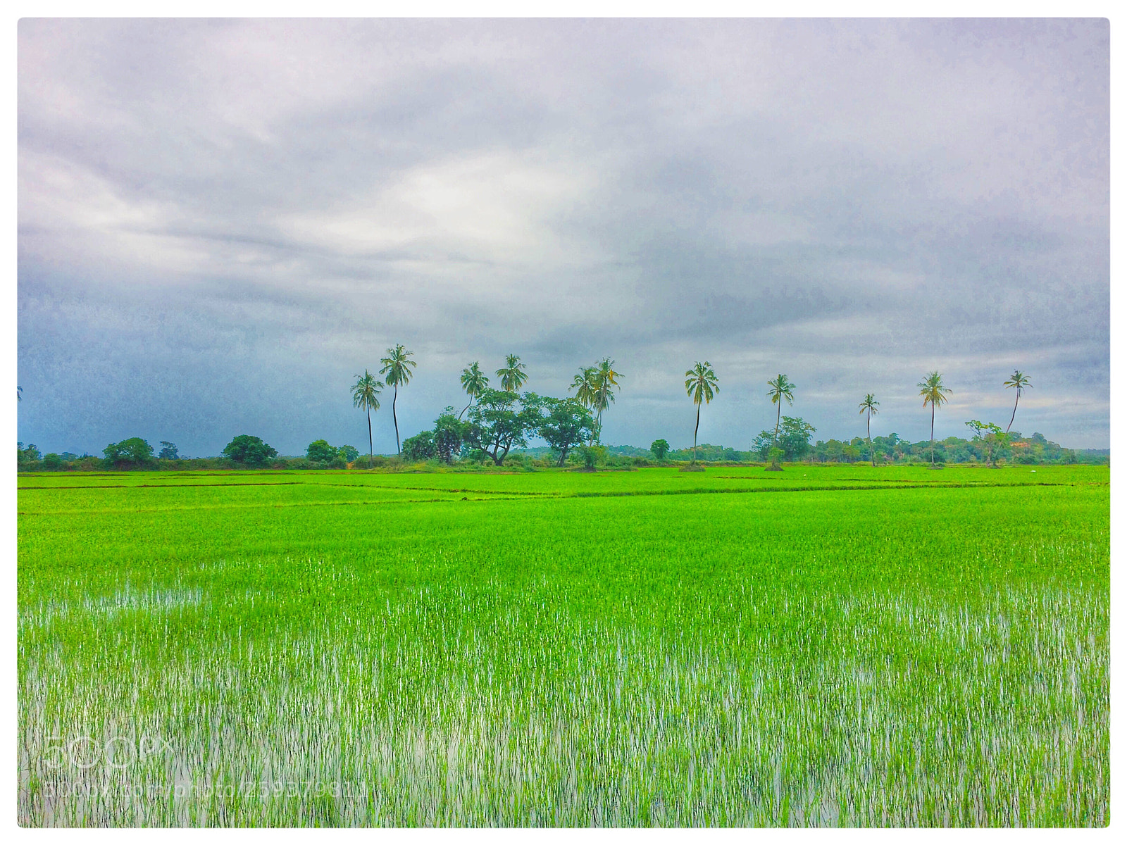 Apple iPhone 5s sample photo. Nature  photography