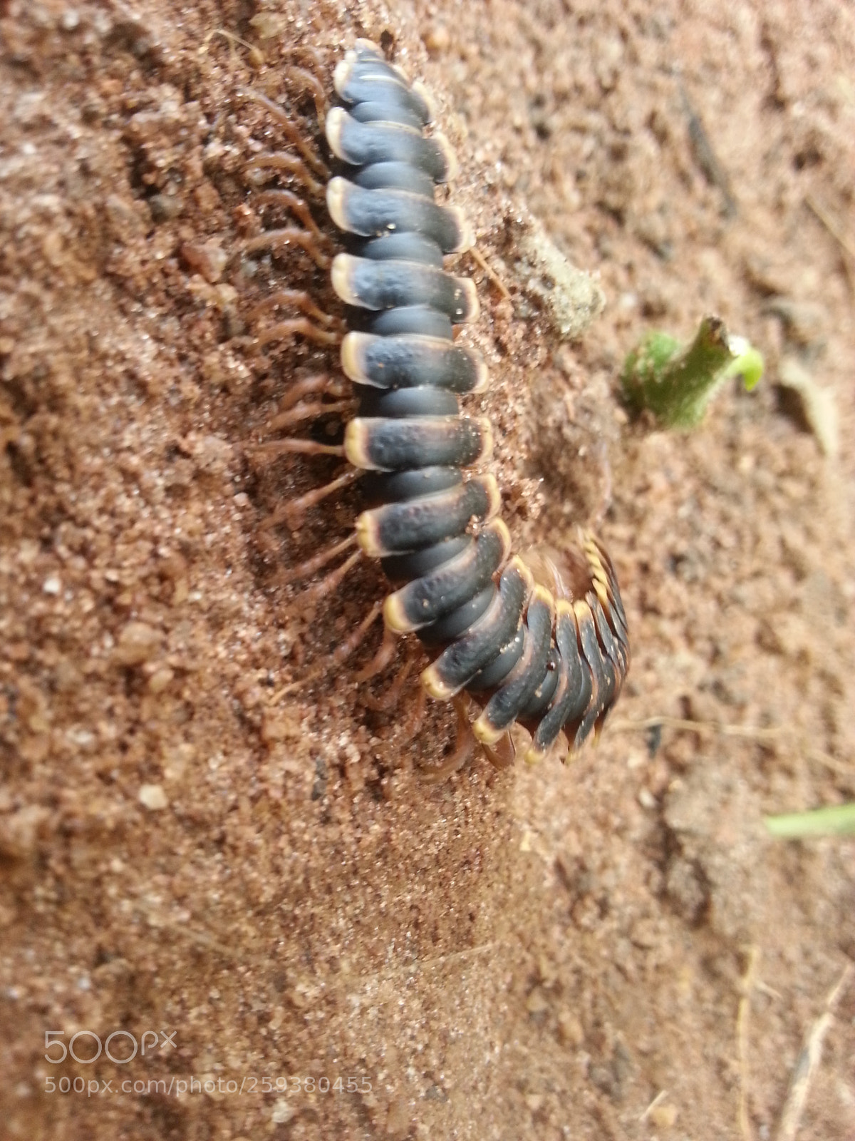 Samsung Galaxy Note2 sample photo. Easy drift photography