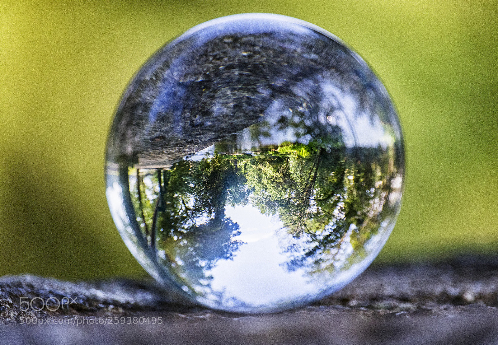 Canon EOS 77D (EOS 9000D / EOS 770D) sample photo. Up-side-down world photography