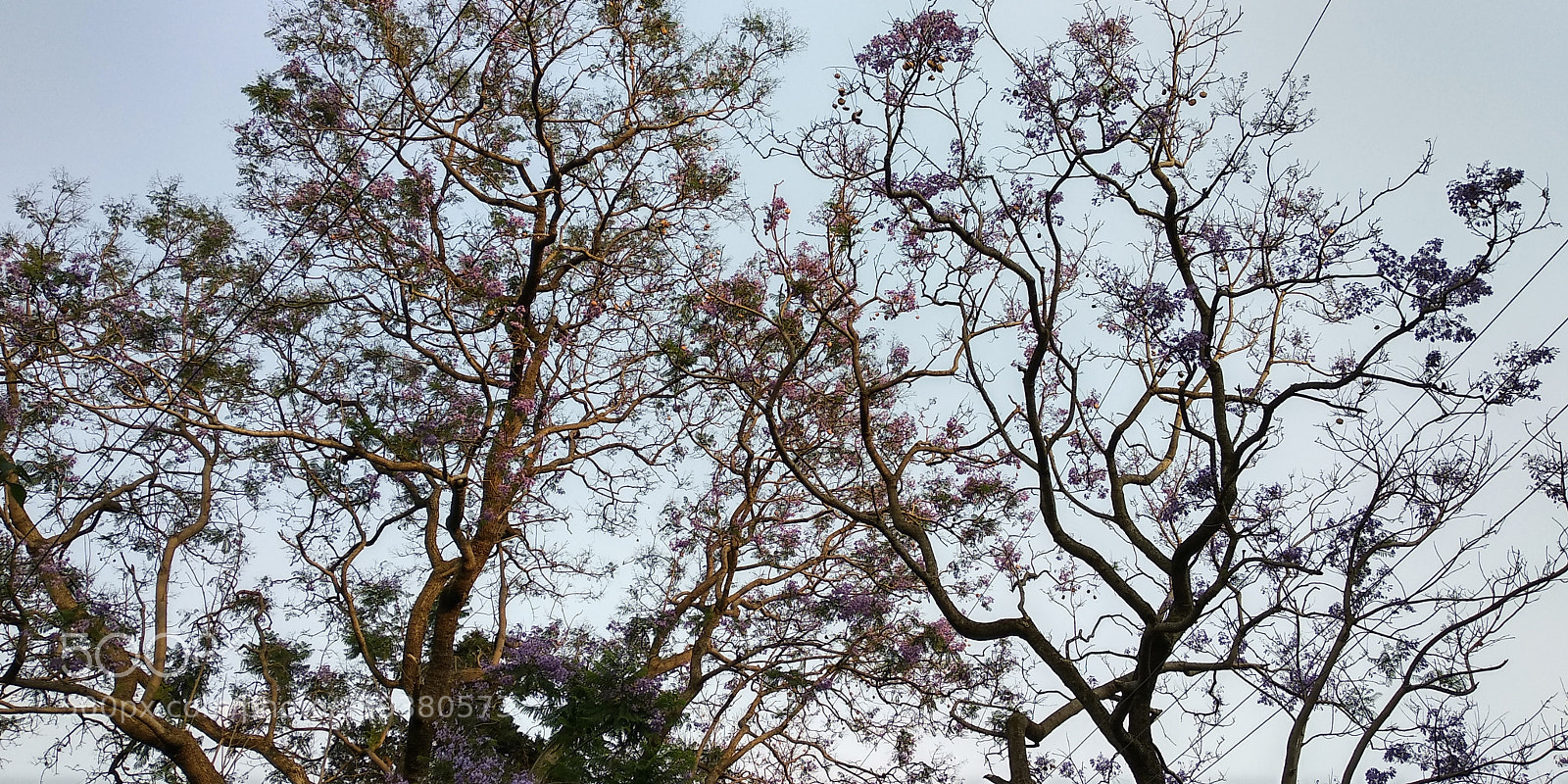 Xiaomi Redmi Note 5 sample photo. Untitled photography