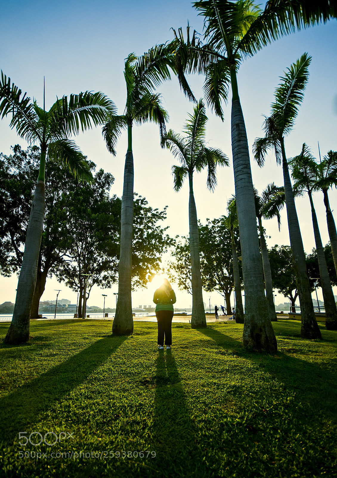 Nikon D90 sample photo. Sunset scenery at the photography