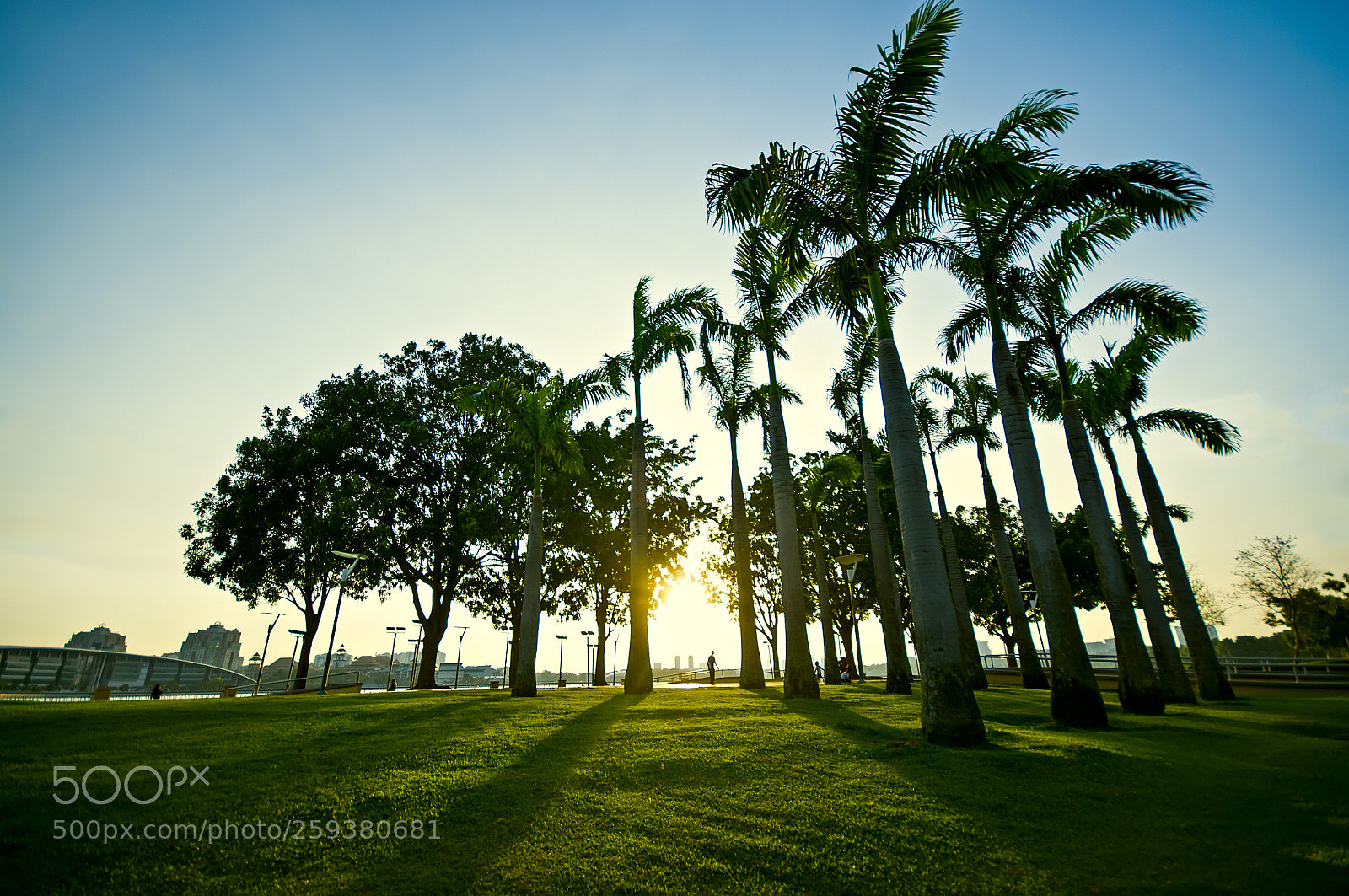 Nikon D90 sample photo. Sunset scenery at the photography