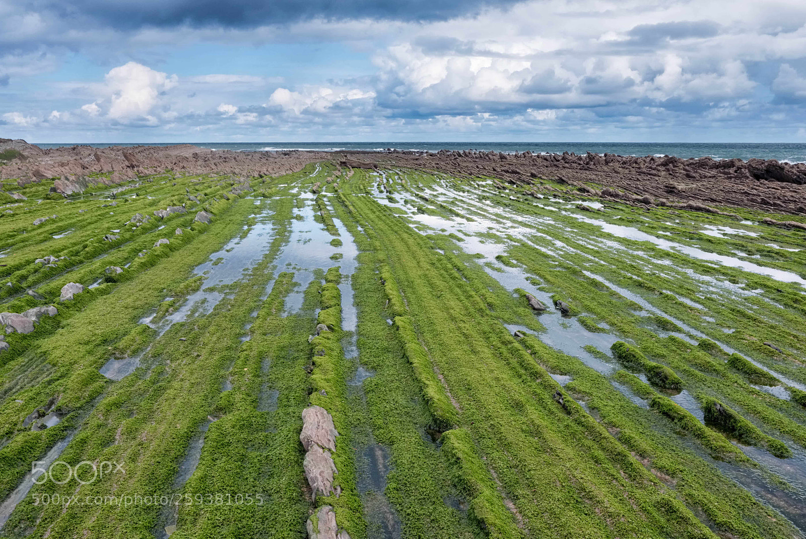 Fujifilm X-T2 sample photo. Green flysch rocks photography