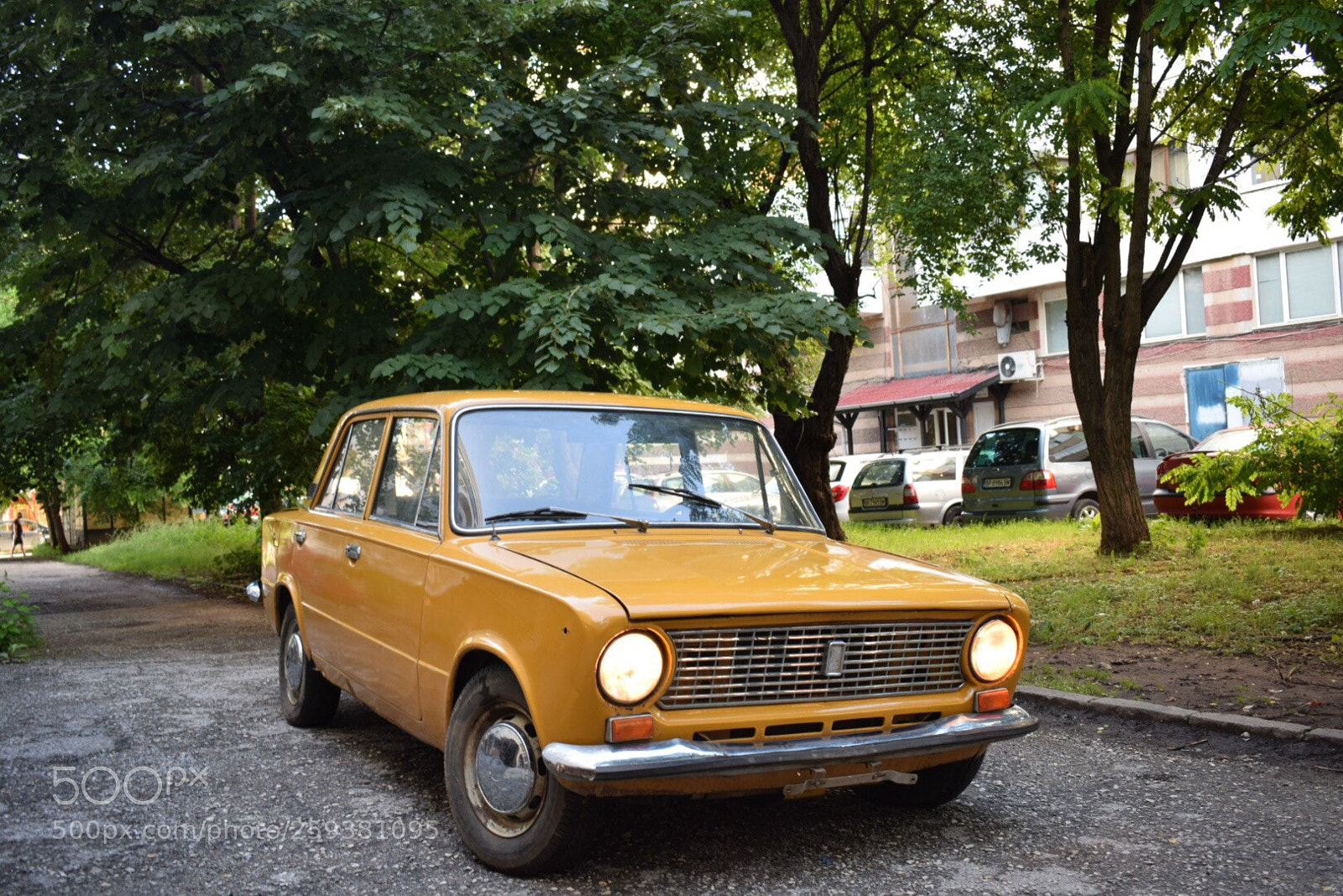 Nikon D5300 sample photo. Untitled photography