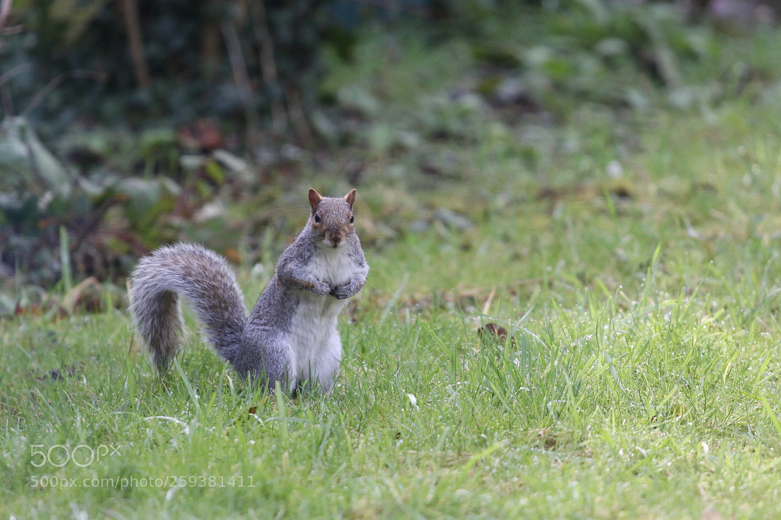 Canon EOS 70D sample photo. Untitled photography