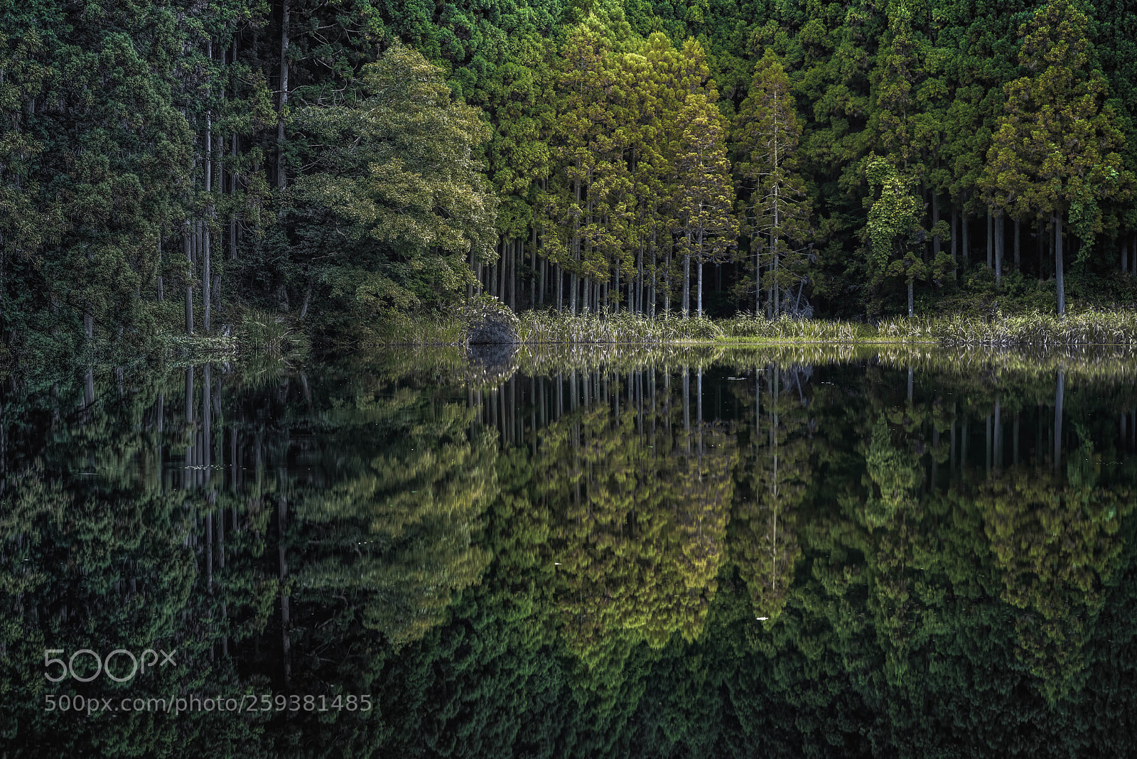 Pentax K-1 sample photo. Green lake photography