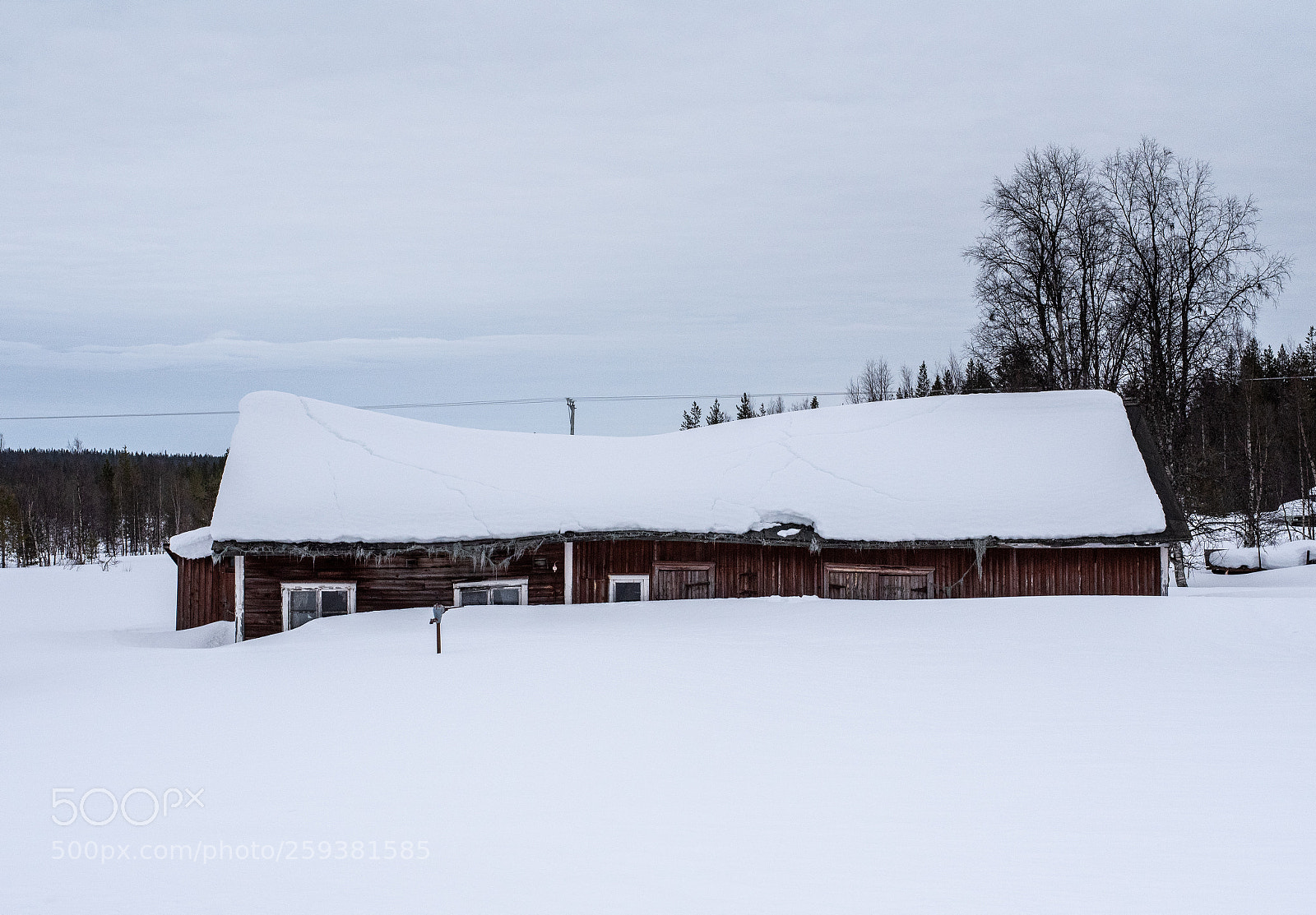 Nikon D750 sample photo. The spring of northern photography