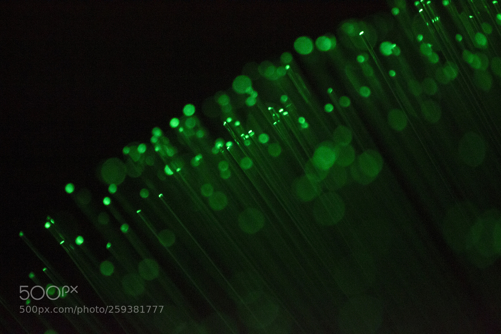 Nikon D3100 sample photo. Strands of light photography