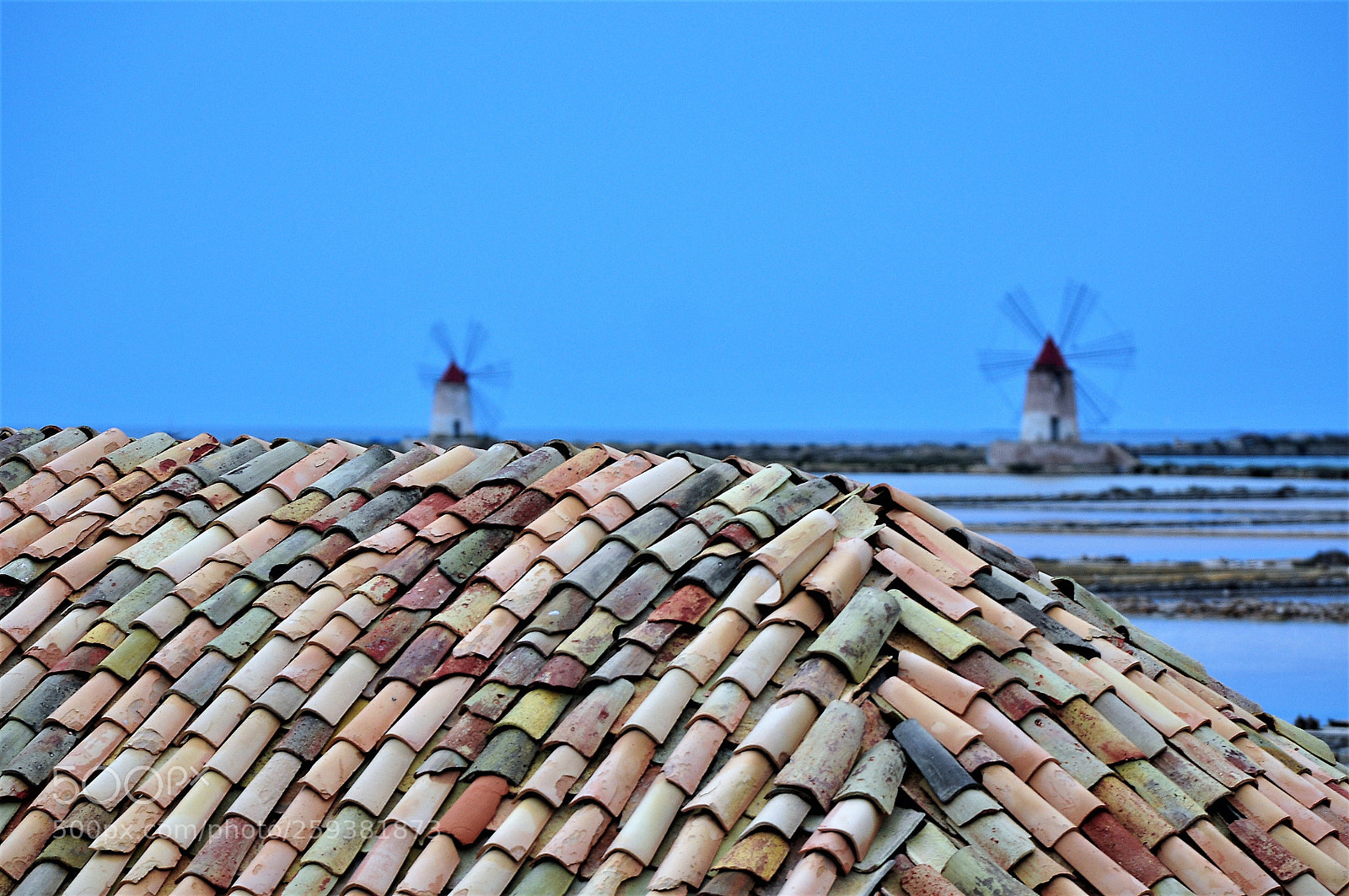 Nikon D300S sample photo. Saline di mothia photography
