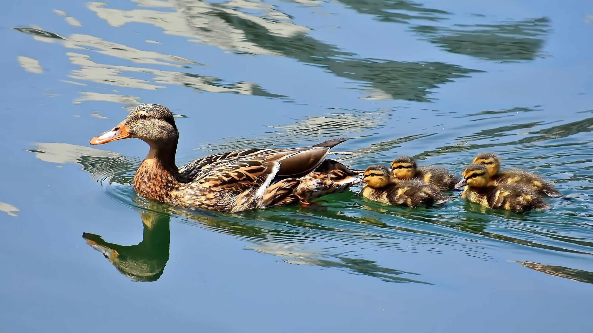 Nikon D7200 sample photo. Family outing... photography