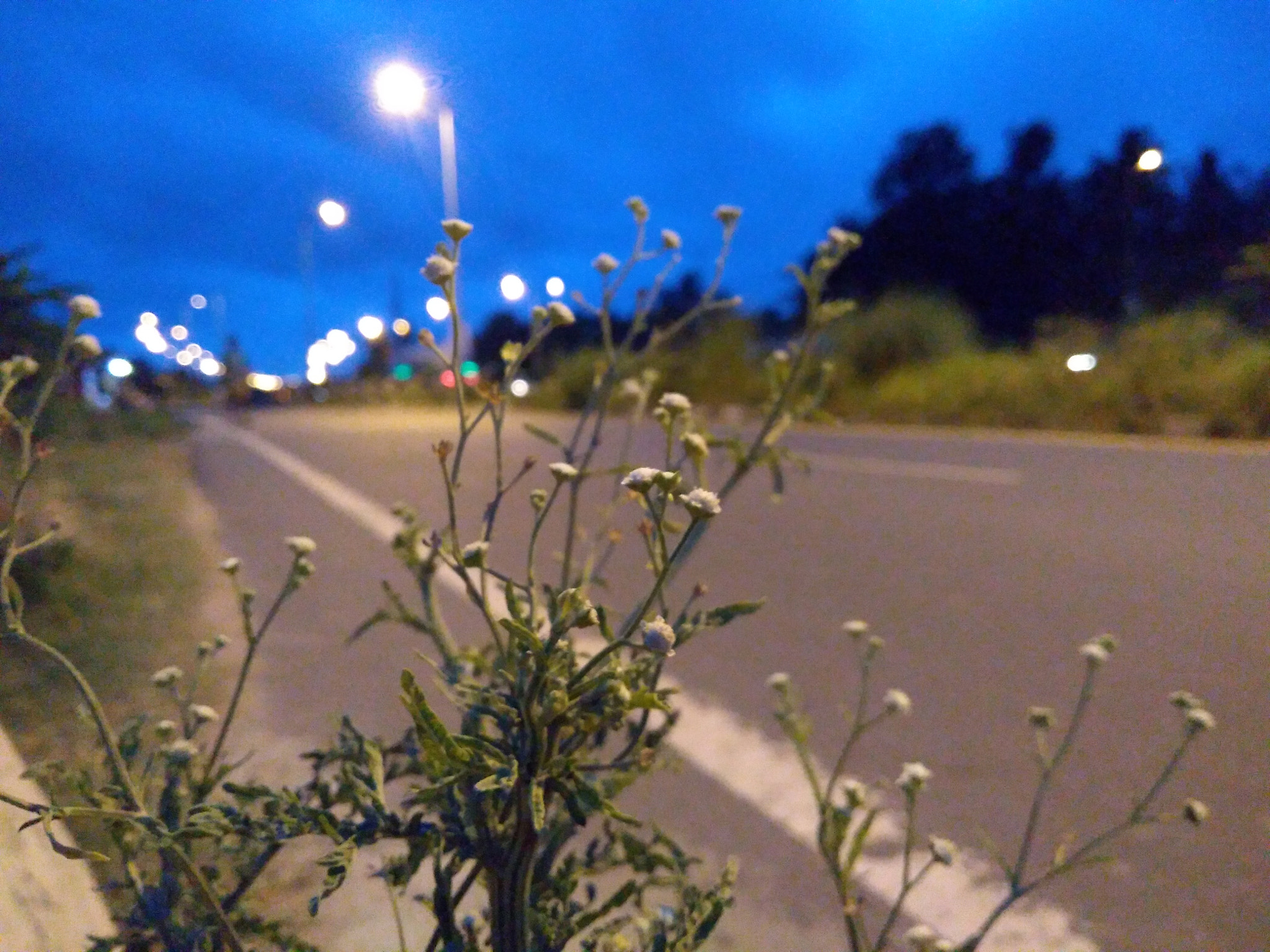 Motorola Moto G (5S) Plus sample photo