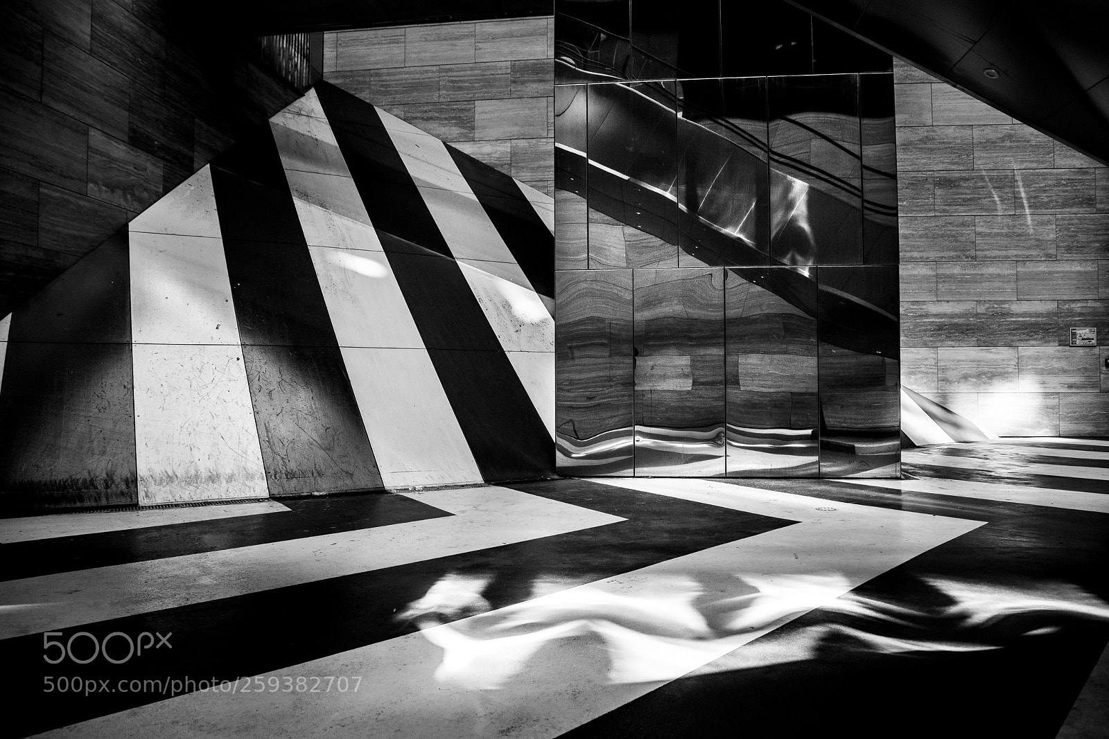 Canon EOS 6D Mark II sample photo. Zebra - paris photography