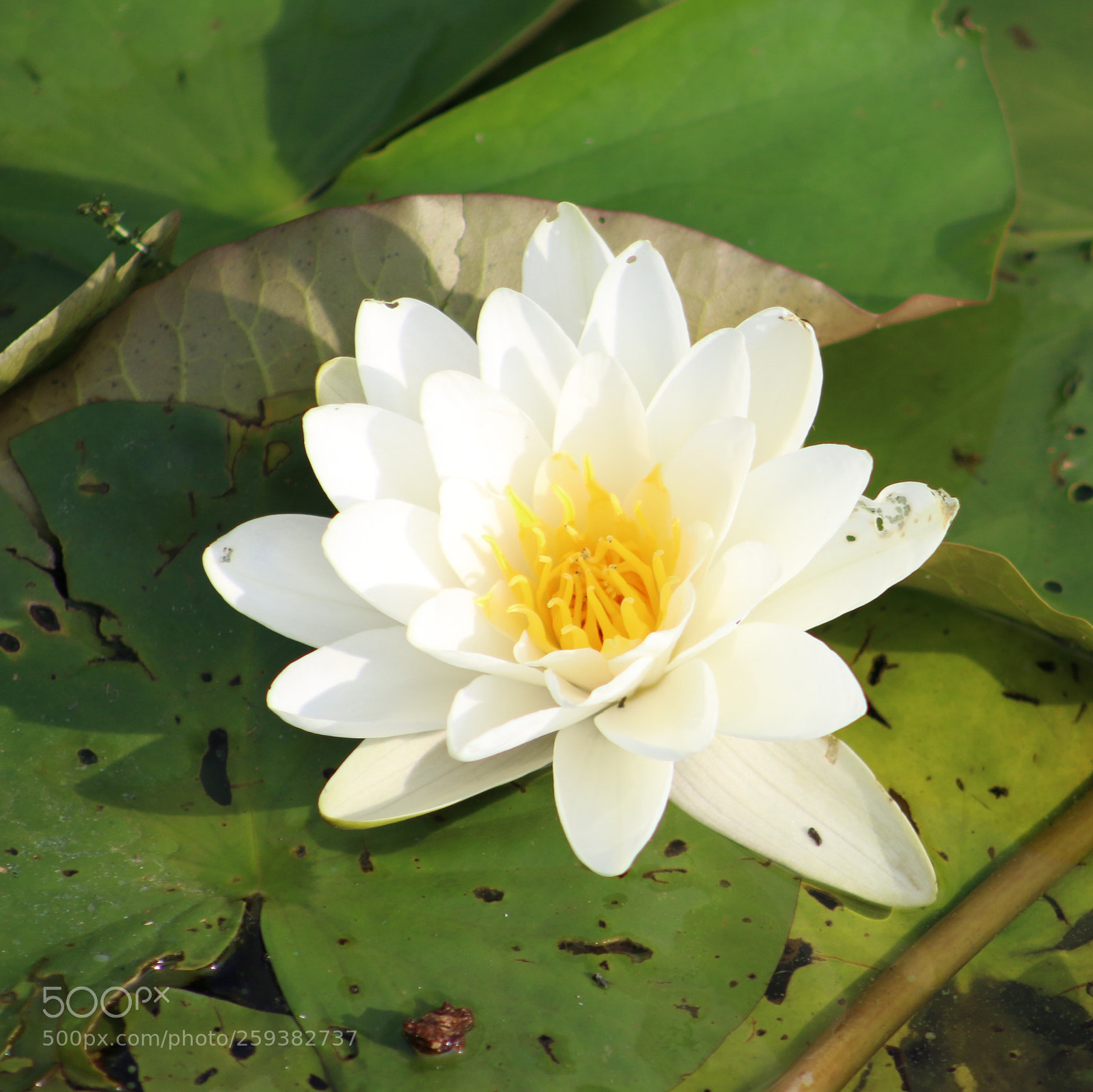Canon EOS 70D sample photo. Untitled photography