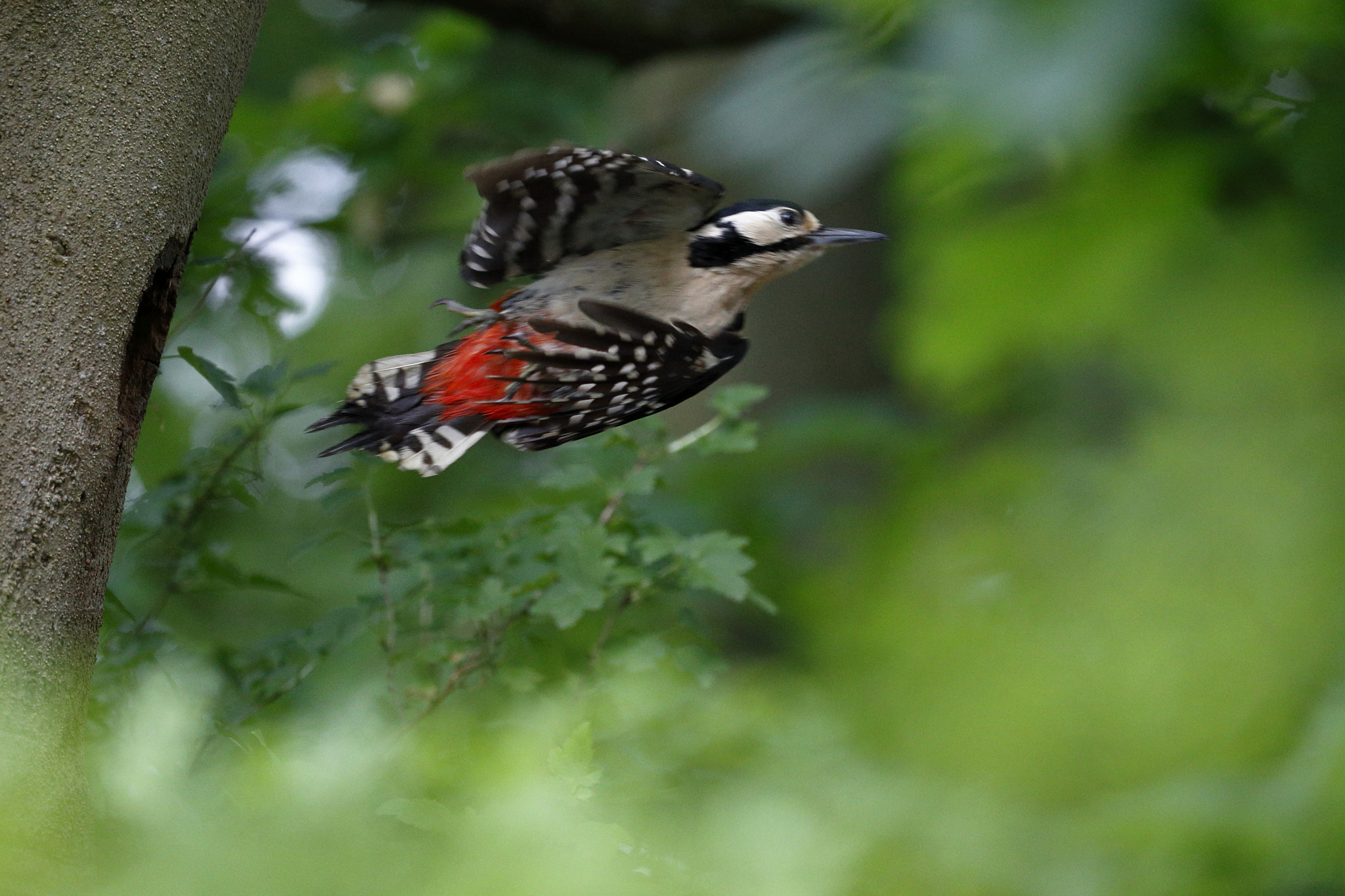 Canon EOS 6D sample photo. Abflug photography