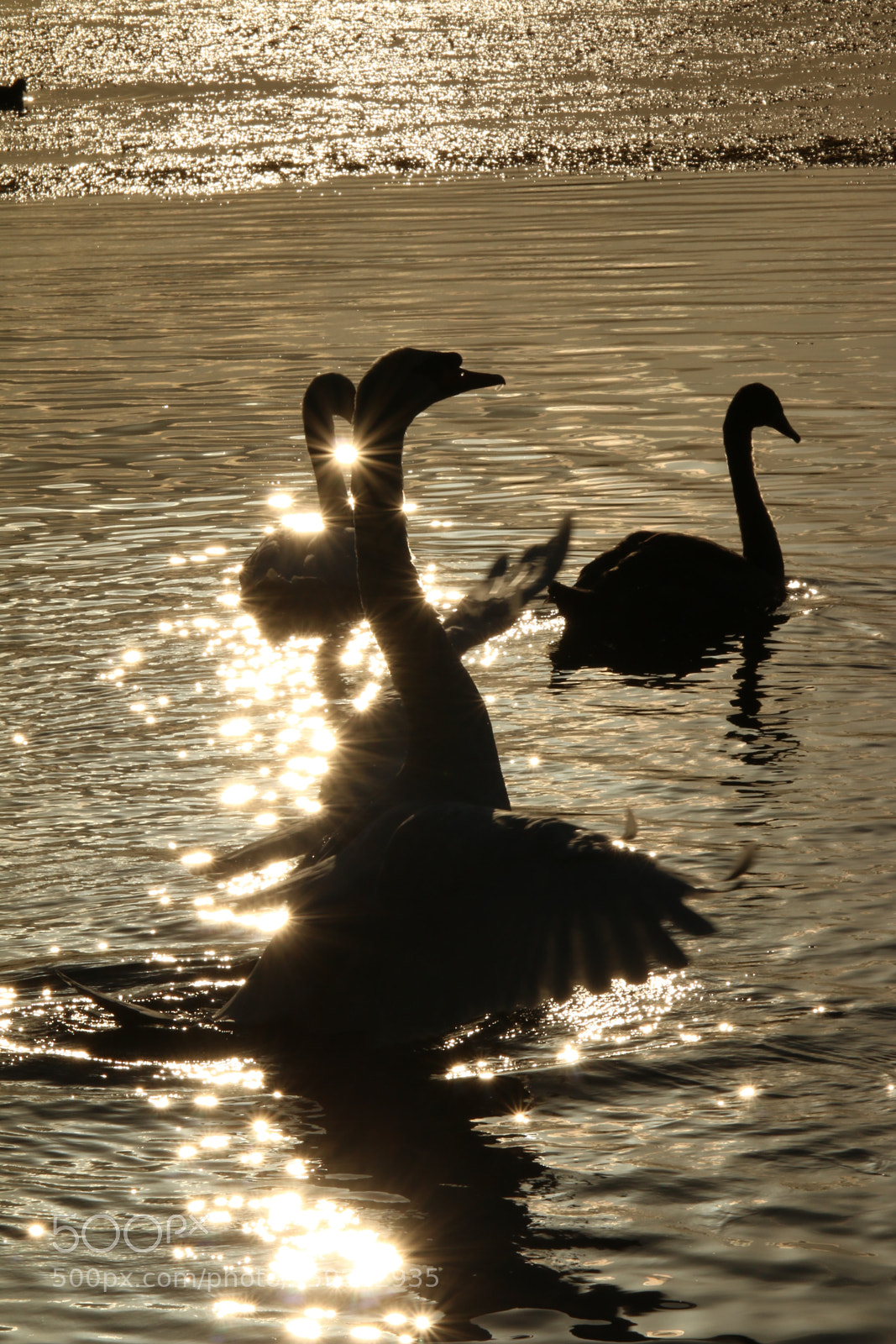 Canon EOS 70D sample photo. Untitled photography