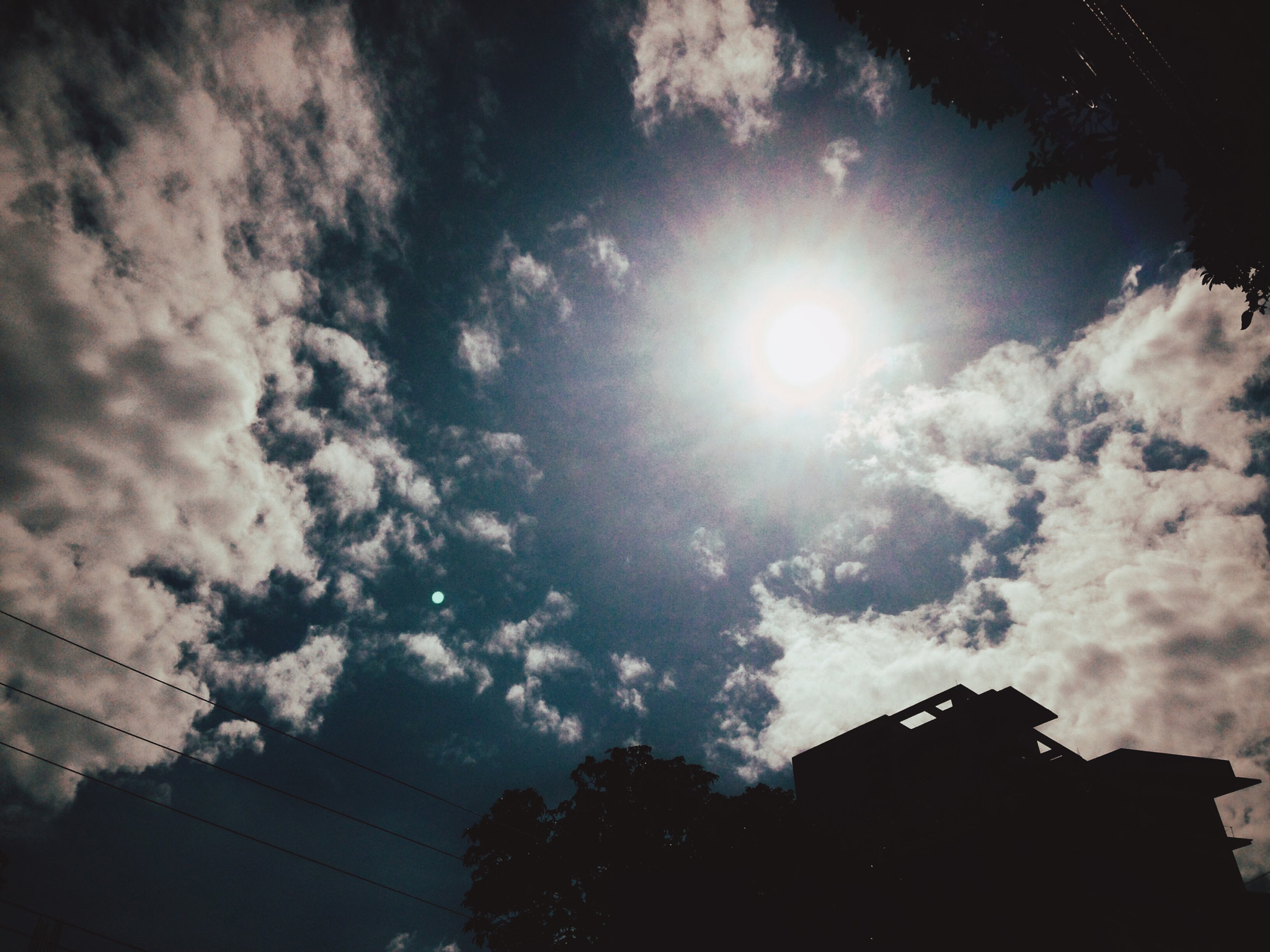 Apple iPhone 5c sample photo. Img photography