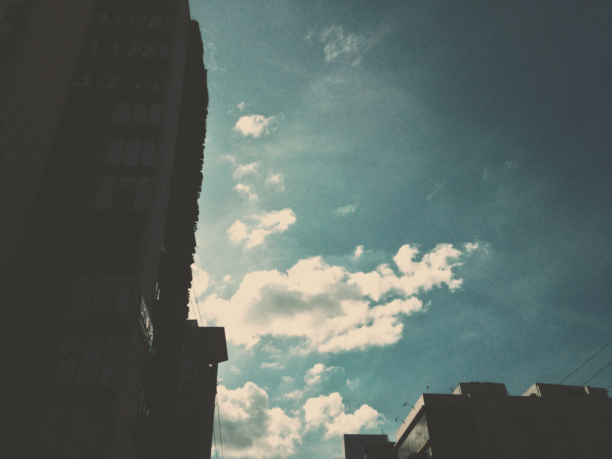 Apple iPhone 5c sample photo. Img photography